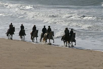 Group of riders on the beach of Andalusia