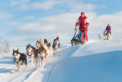 Incentive dog sledding: Nature experience at it`s best