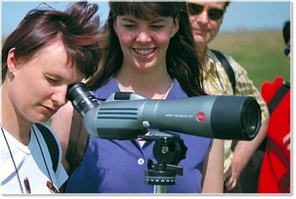 Two employees watch birds during an incentive at the North Sea