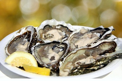 Oyster tasting as an incentive on Sylt