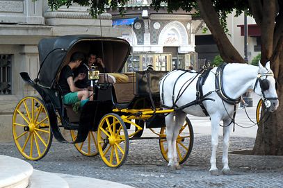 Typical horse-drawn carriage in Seville