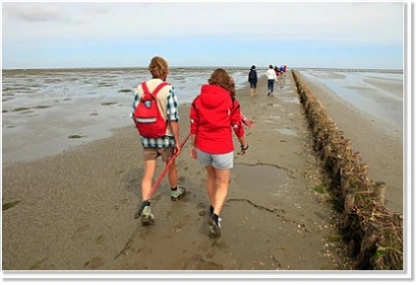 Group of mudflat hikers at a team event on the North Sea